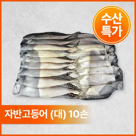 노르웨이 자반고등어 (구이용, 대 10손 6.5Kg/BOX)