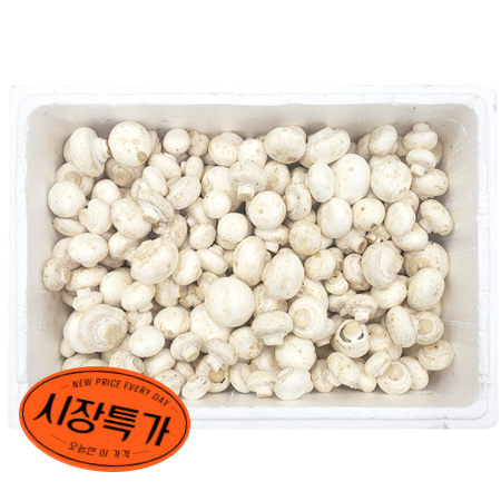 ★매일시장특가★ 양송이버섯(실속 2Kg/BOX) 초특가 채소 야채 양송이 버섯