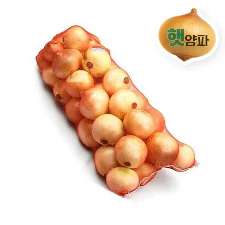 ★선착순특가★ 양파 14~15kg 내외/망 (1번구 250g내외) 일일 한정물량 초특가 농산 야채 피양파
