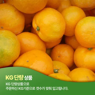 감귤(S_12~15과 1Kg/EA)/국내산