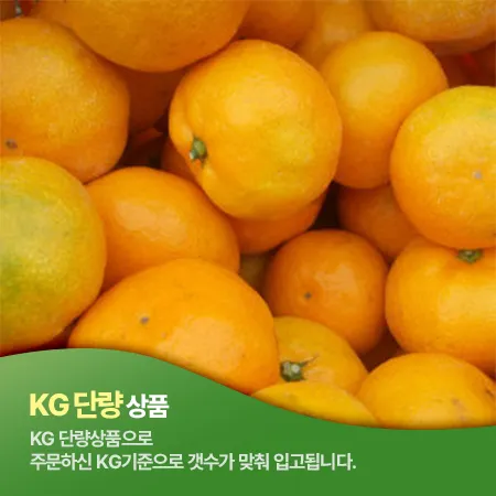 감귤(S_12~15과 1Kg/EA)/국내산