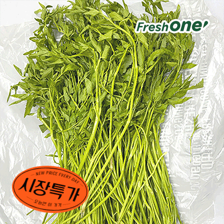 ★매일시장특가★ 프레시원 돌미나리(상 500g/EA) 초특가 채소 야채 미나리