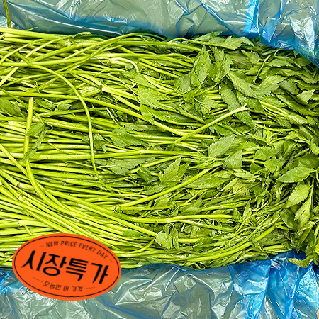 ★매일시장특가★ 돌미나리(상등급 4Kg/BOX)/국내산 초특가 채소 야채 미나리
