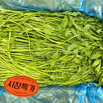 ★매일시장특가★ 돌미나리(상등급 4Kg/BOX)/국내산 초특가 채소 야채 미나리