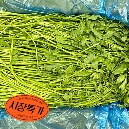 ★매일시장특가★ 돌미나리(상등급 4Kg/BOX)/국내산 초특가 채소 야채 미나리