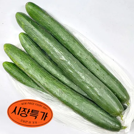 ★매일시장특가★ 프레시원 취청오이/상/5입내외 1kg/청오이