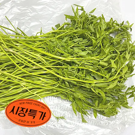 ★매일시장특가★ 돌미나리(상 500g/EA) 초특가 채소 야채 미나리
