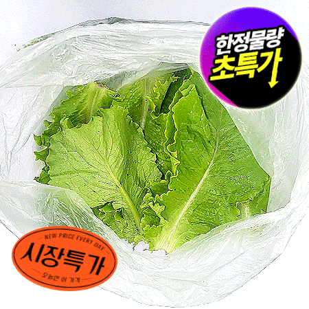 ★매일시장특가★ 청상추(상 500g/EA) 상추 초특가 채소 야채