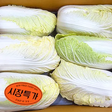★매일시장특가★ 알배기배추 특 8Kg/BOX 초특가 채소 야채 알배기