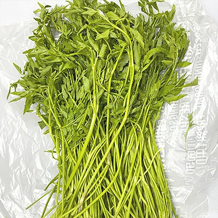 ★매일시장특가★ 프레시원 돌미나리(상 500g/EA) 초특가 채소 야채 미나리 이미지