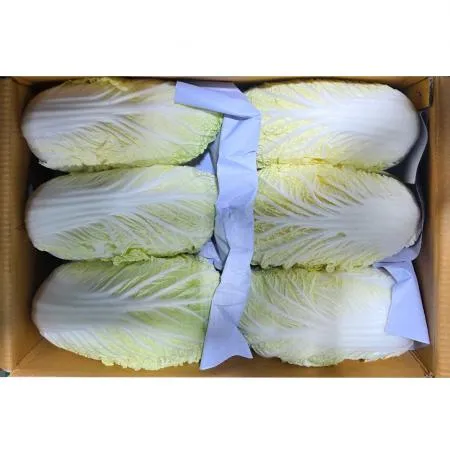 알배기배추(상 한국청과 179번 7Kg/BOX)
