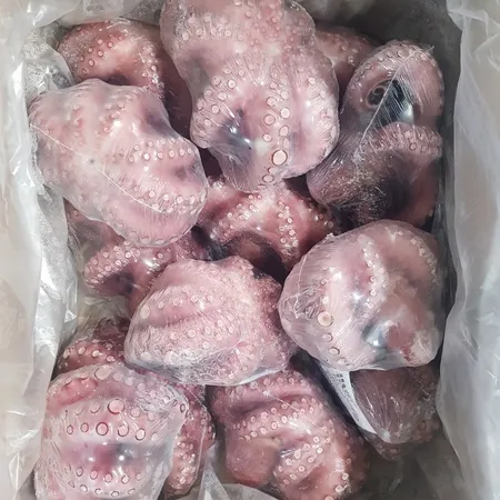 문어(자숙_600-800g 600g/EA)