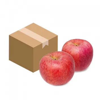 사과(11~15과 제수용 5Kg/BOX)/국내산