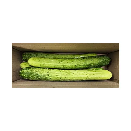 ★매일시장특가★ 다다기오이 (특, 5입 내외, 1Kg/EA)