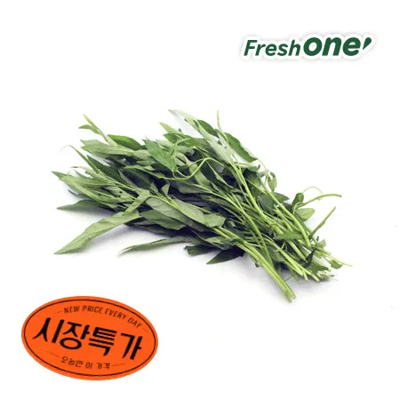 ★매일시장특가★ 프레시원 공심채(500g/EA) 모닝글로리