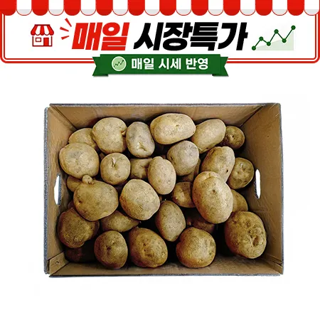 ★매일시장특가★ 프레시원 감자 왕왕 20kg/BOX (180g이상)