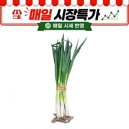 ★매일시장특가★ 흙대파 (국내산, 상, 1단)