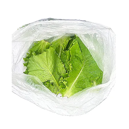 ★매일시장특가★ 청상추(상 500g/EA) 상추 초특가 채소 야채 이미지