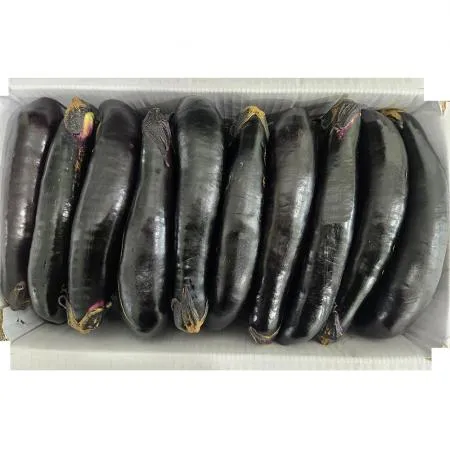 가지(상 한국청과 106번 8Kg/BOX)