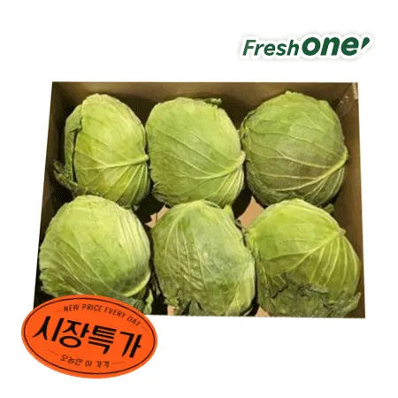 ★매일시장특가★ 양배추 국내산 ( 5~6입 15Kg/BOX) 초특가