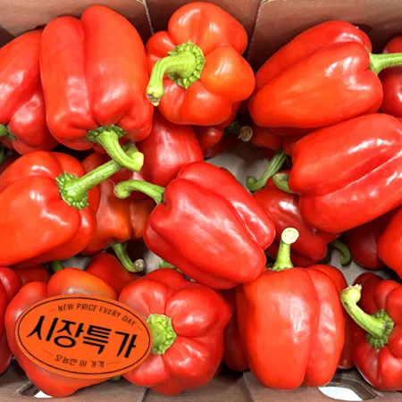 ★매일시장특가★ 빨강파프리카(상 20~25입내외/BOX) 초특가 채소 야채 파프리카