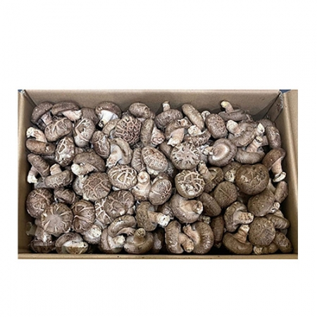 표고버섯(2L 4Kg/BOX)/중국산