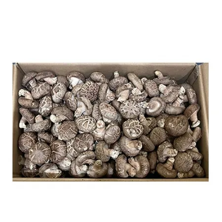 표고버섯(2L 4Kg/BOX)/중국산