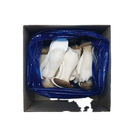 새송이버섯(상품 슬라이스 500g/EA)