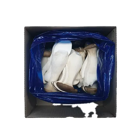 새송이버섯(상품 슬라이스 500g/EA)