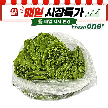 ★매일시장특가★ 프레시원 로메인(상 500g/EA