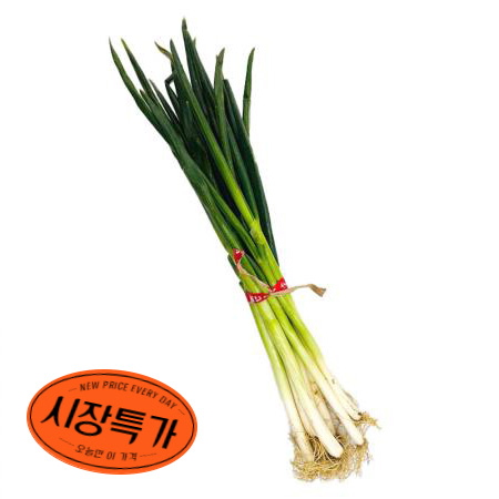 ★매일시장특가★ 국산 흙대파 실속 1단 초특가행사 대파
