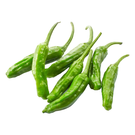 ★매일시장특가★ 꽈리고추(국산 500g/EA) 초특가 채소 야채 국내산 고추 꽈리 이미지