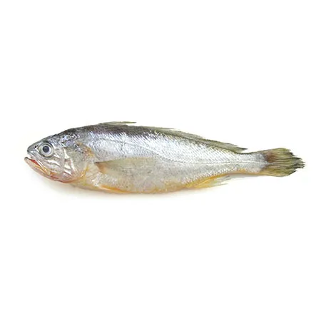 참조기(50~70g/마리 60g/EA)