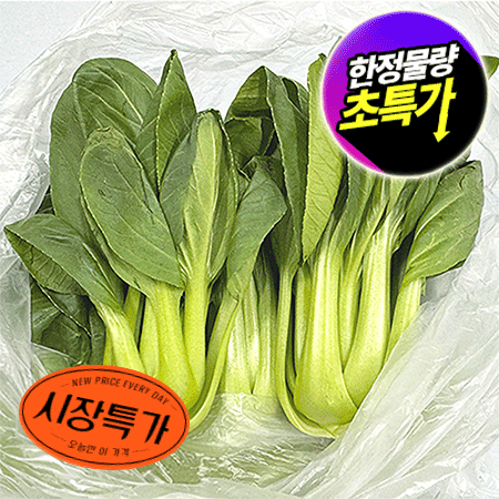 ★매일시장특가★ 청경채(상 500g/EA) 초특가 채소 야채