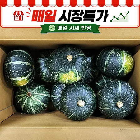 ★매일시장특가★ 단호박 (10수내외 10Kg/BOX)