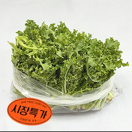 ★매일시장특가★ 프레시원 치커리(상 500g/EA) 초특가 채소 야채