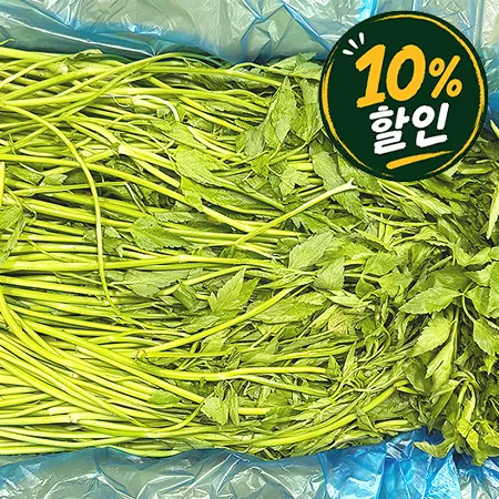 [10%쿠폰] 돌미나리(상등급 4Kg/BOX) 미나리