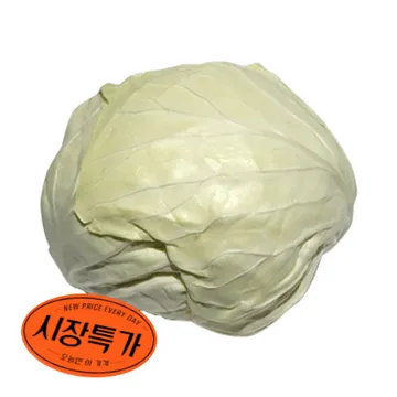 ★매일시장특가★깐양배추(2Kg/EA) 초특가 양배추
