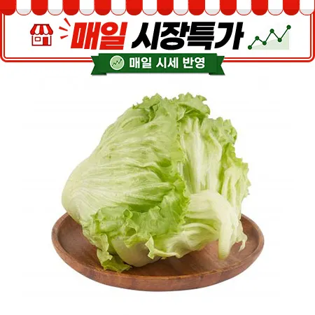 ★매일시장특가★  양상추(국내산, 상, 겉잎제거, 1통)