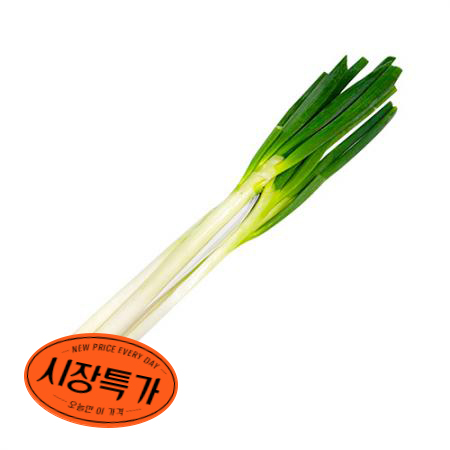 ★매일시장특가★ 깐대파(국내산 상 5Kg/EA) 5~7단 대파
