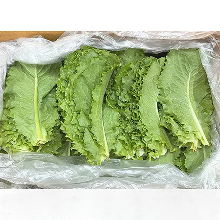 ★매일시장특가★ 로메인(상 2KG/BOX)