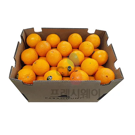 	 오렌지(72과내외 17Kg/BOX)