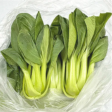 ★매일시장특가★ 청경채(상 500g/EA) 초특가 채소 야채 이미지