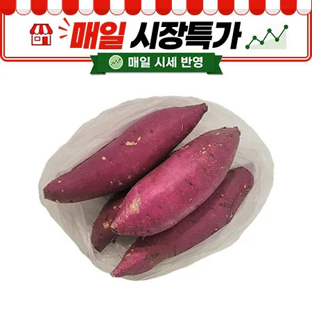 ★매일시장특가★ 밤고구마(긴왕 250g이상/개 3Kg/EA)