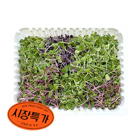 ★매일시장특가★혼합베이비채소(국산 500g/EA) 베이비순 채소 야채