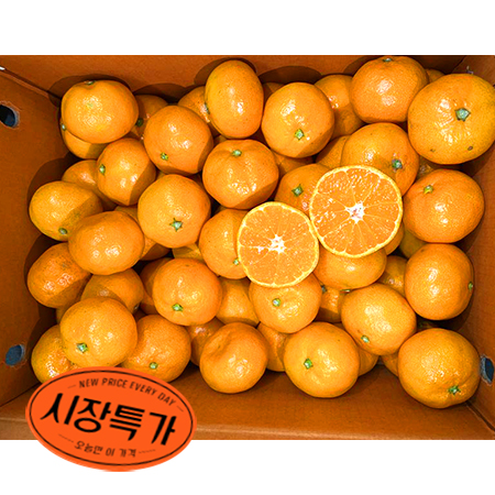 ★매일시장특가★ 감귤 (S_60~79과 5Kg/BOX) 과일 초특가