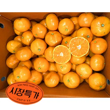 ★매일시장특가★ 감귤 (S_60~79과 5Kg/BOX) 과일 초특가