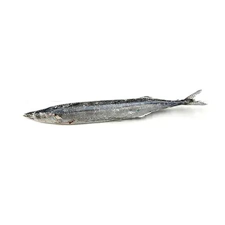 꽁치(100~110g 100g/EA)