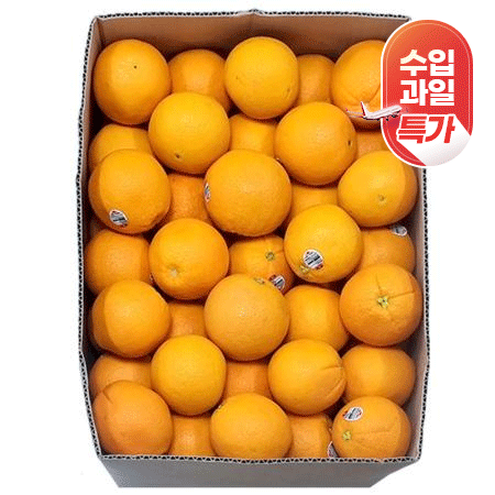 ★수입과일특가★ 오렌지(88과 생과용 17Kg/BOX)