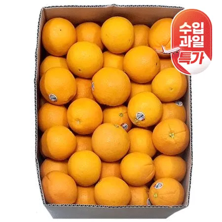 ★매일시장특가★ 오렌지(88과 생과용 17Kg/BOX)